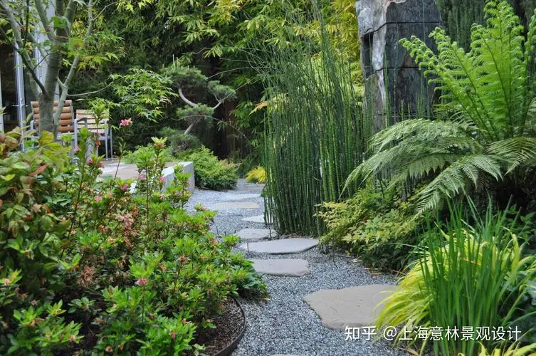 松原绿化苗木批发市场在哪