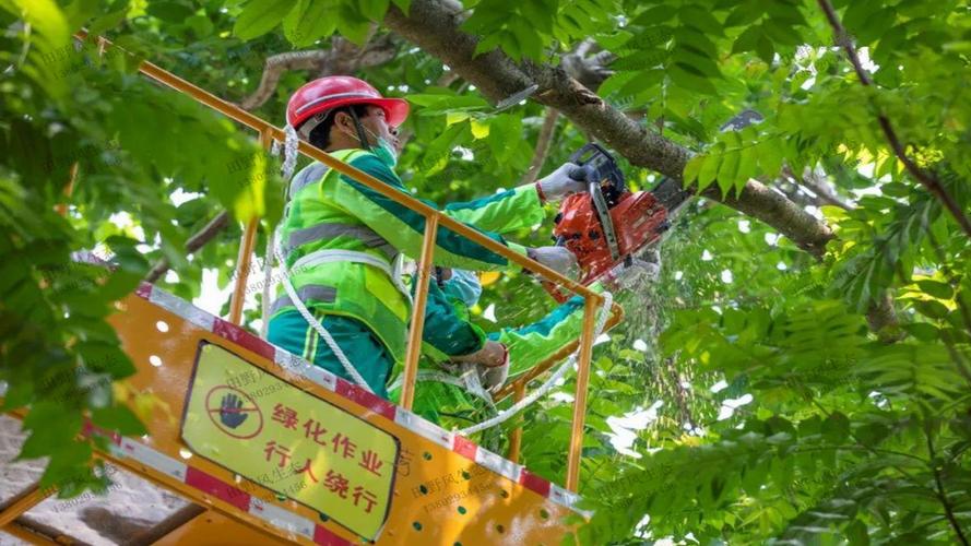 天津园林绿化工程公司空港